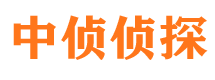 大东出轨调查